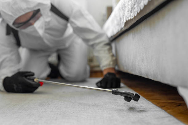 Professional Termite Control technician working in Fairmount, NY