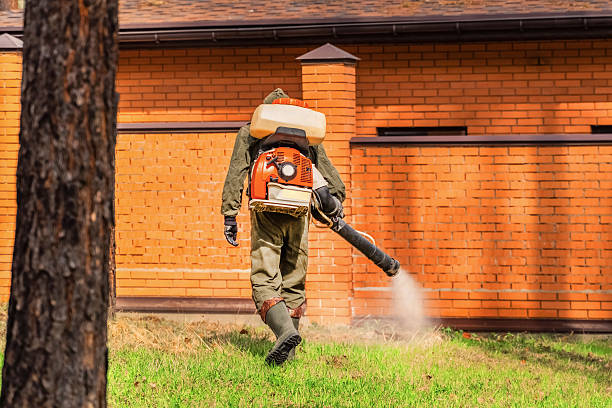 Top rated local Termite Control specialists in Fairmount, NY